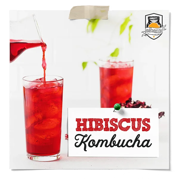 Hibiscus Kombucha Recipe