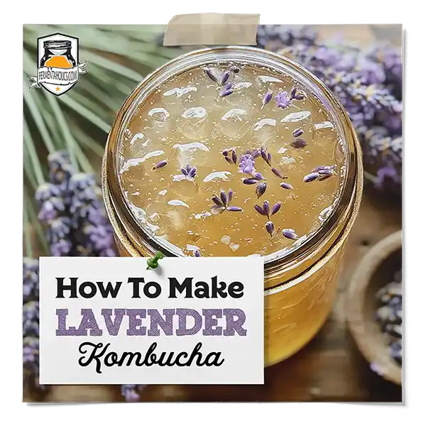 How To Make Lavender Kombucha