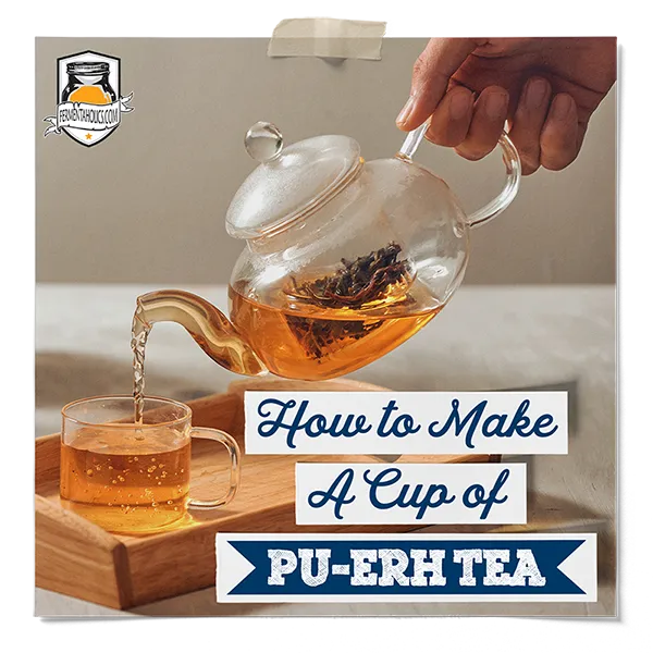 How To Brew Pu Erh Tea