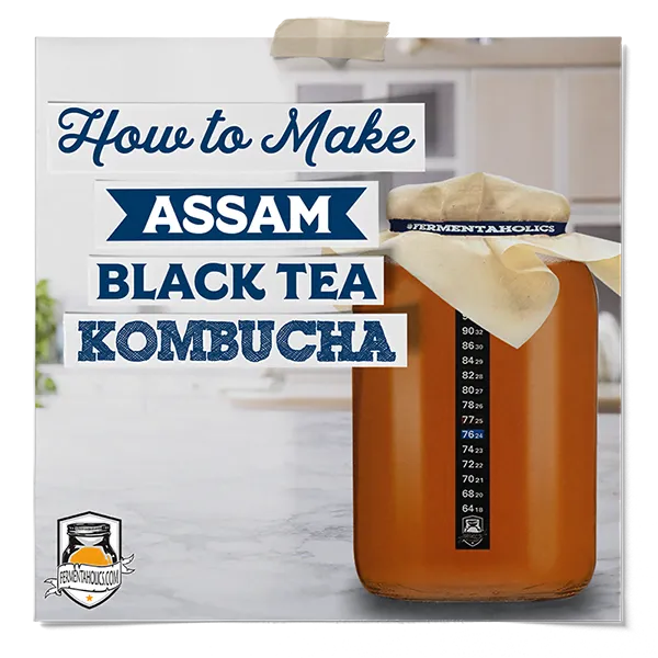 How To Make Assam Black Tea Kombucha
