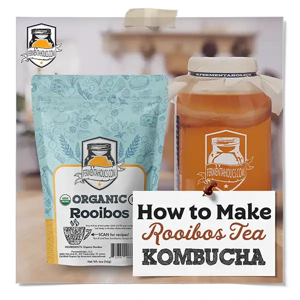 How To Make Rooibos Tea Kombucha