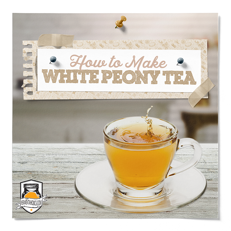 how to brew white peony tea