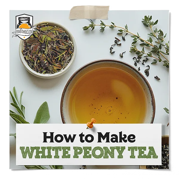 How To Make White Peony Tea