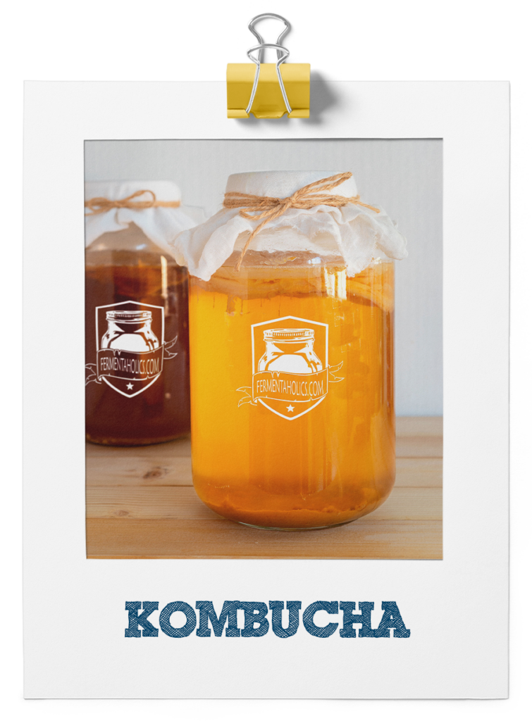 The Kombucha Shop - 12 oz. Stout Glass Bottles with Airtight Caps - 6 Pack