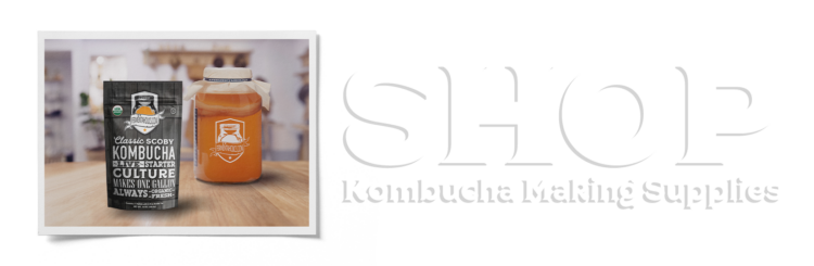 Storing Kombucha: Does Kombucha Need to Be Refrigerated?