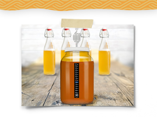 Gallon Lid With S-Airlock