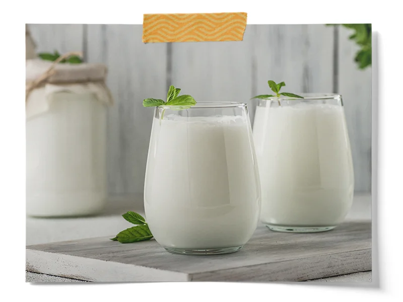 Milk Kefir Starter Culture Powder