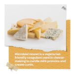 Vegetarian Rennet Cheese