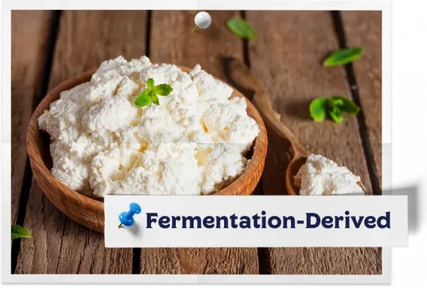 Microbial Rennet For Cheese