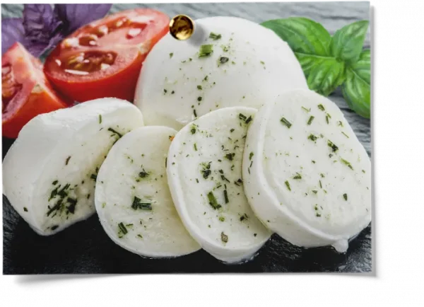 Microbial Rennet Coagulant Powder For Cheesemaking