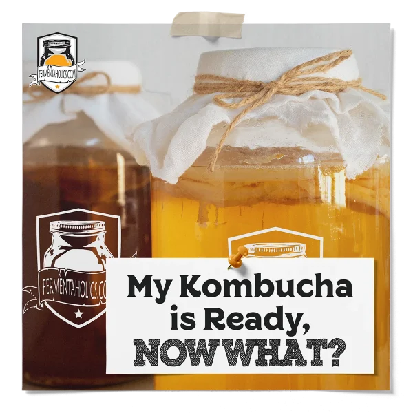 My Kombucha Is Ready Now What