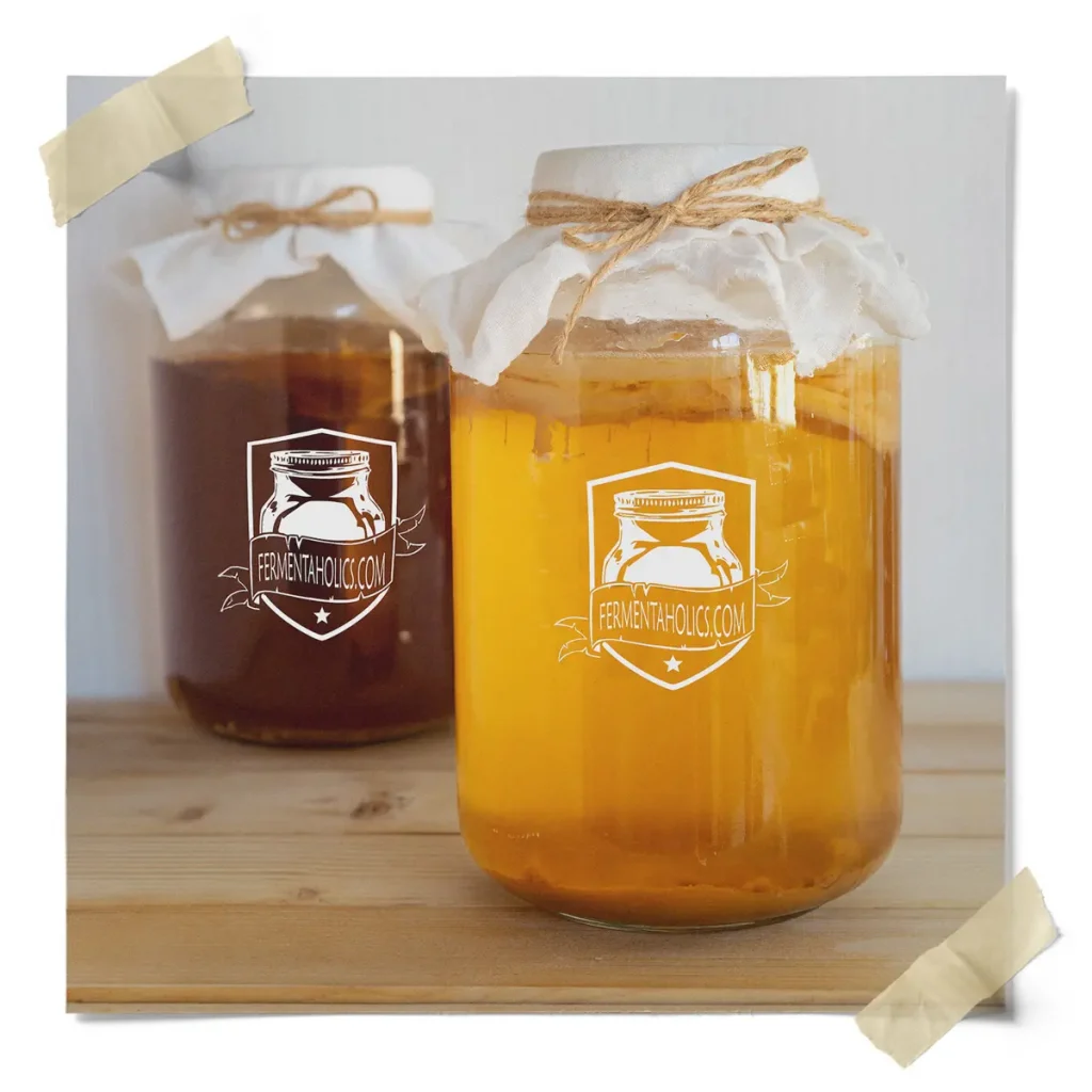 Kombucha Making Tea Blend
