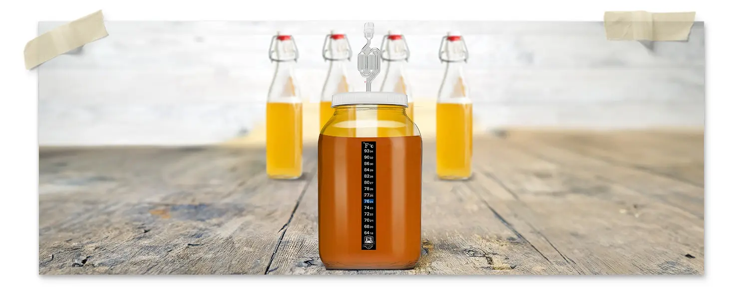 White Gallon Lid With S Airlock