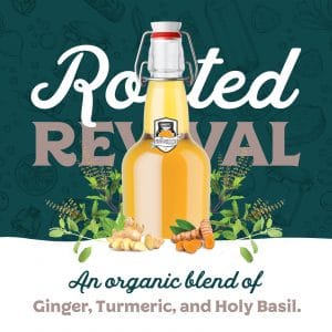 Kombucha Flavor Ideas