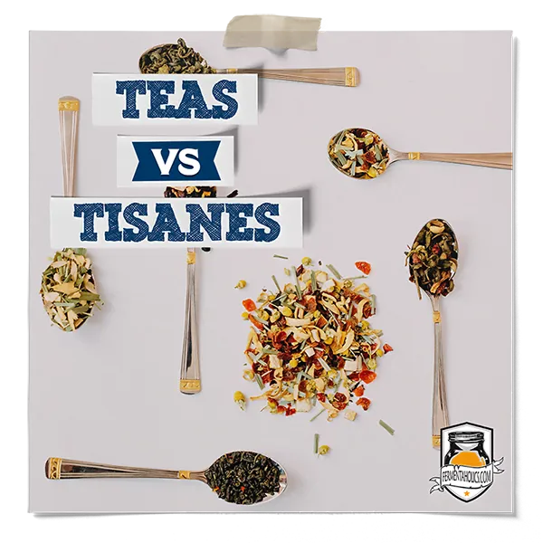 Tea Vs Tisanes
