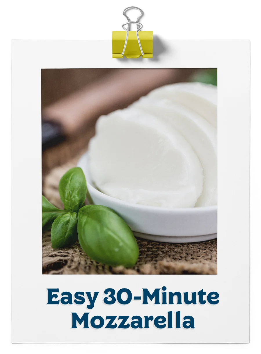 Easy 30 Minute Mozzarella