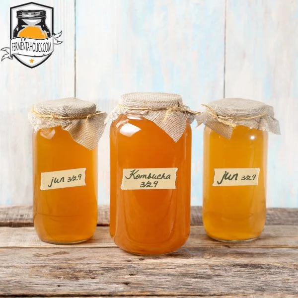 Jun Kombucha Brewing Jars 600X600 1