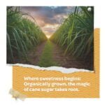 Cane Sugar