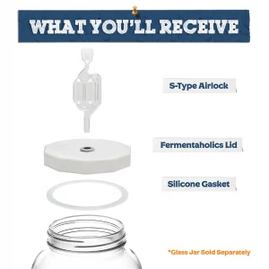 Gallon Jar Fermentation Lid