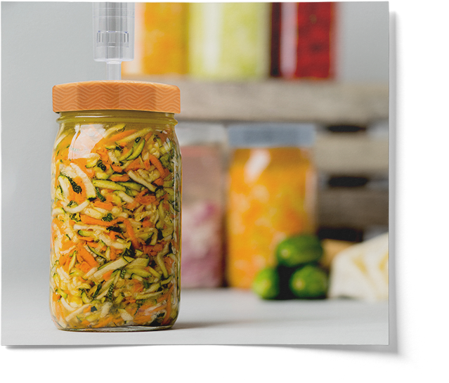Colored Pattern Lids With 3 Piece Airlocks For Wide Mouth Mason Jars - 4 Pack