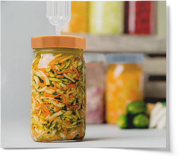 Colored Pattern Lids With S Airlocks For Wide Mouth Mason Jars - 4 Pack