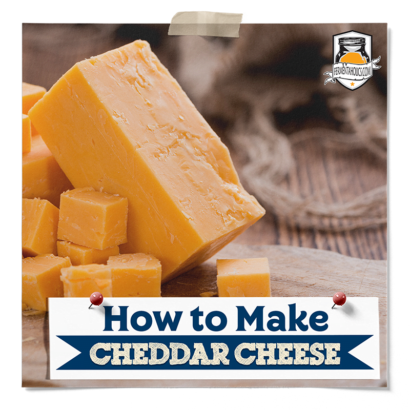 Cheddar Cheese Recipe