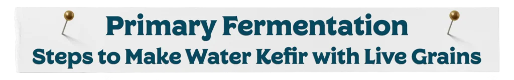 Live Grain Primary Fermentation