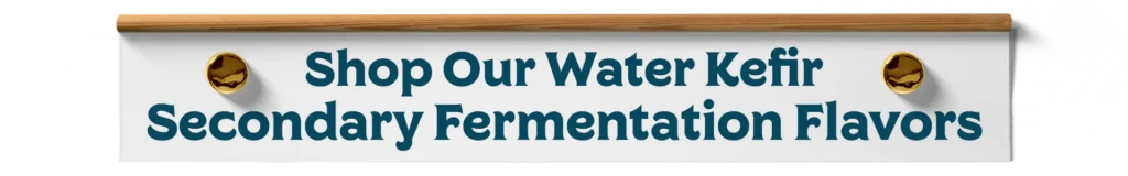 Shop Water Kefir Secondary Flavors