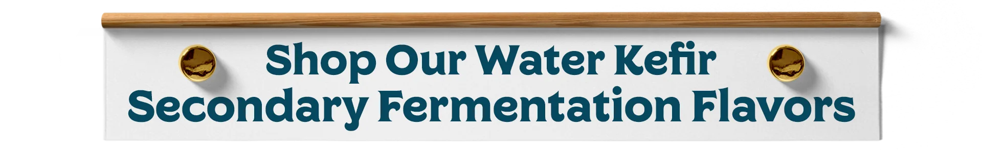 Shop Water Kefir Secondary Flavors