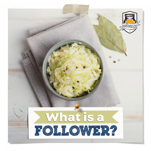 What Is A Follower