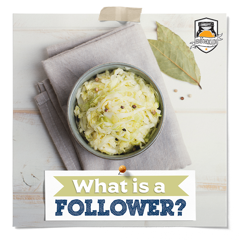 What is a Follower in Fermented Foods?