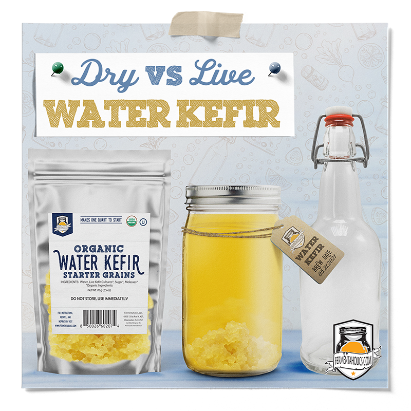 What’s the Difference Between Live Water Kefir Grains and Dry Water Kefir Grains?