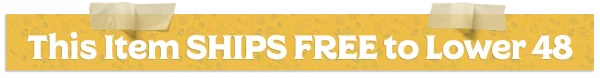 Free shipping to Lower 48