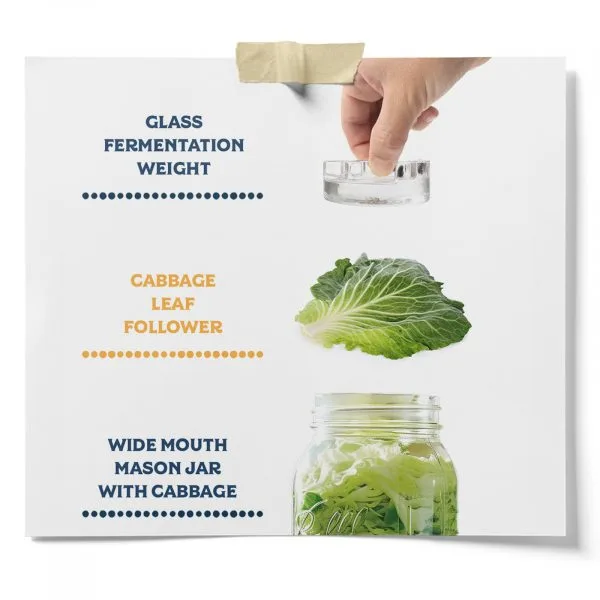 Glass Weight And Cabbage Leaf Followers