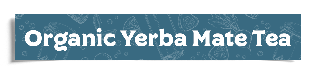 Organic Yerba Mate Tea Header