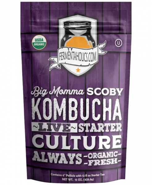 Big Momma Kombucha Scoby Live Starter Culture