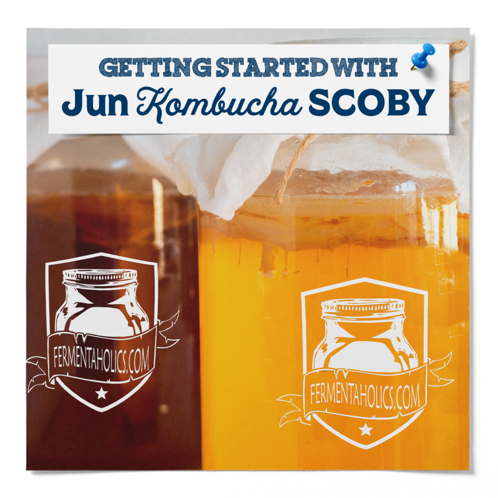Fermentaholics Jun Kombucha