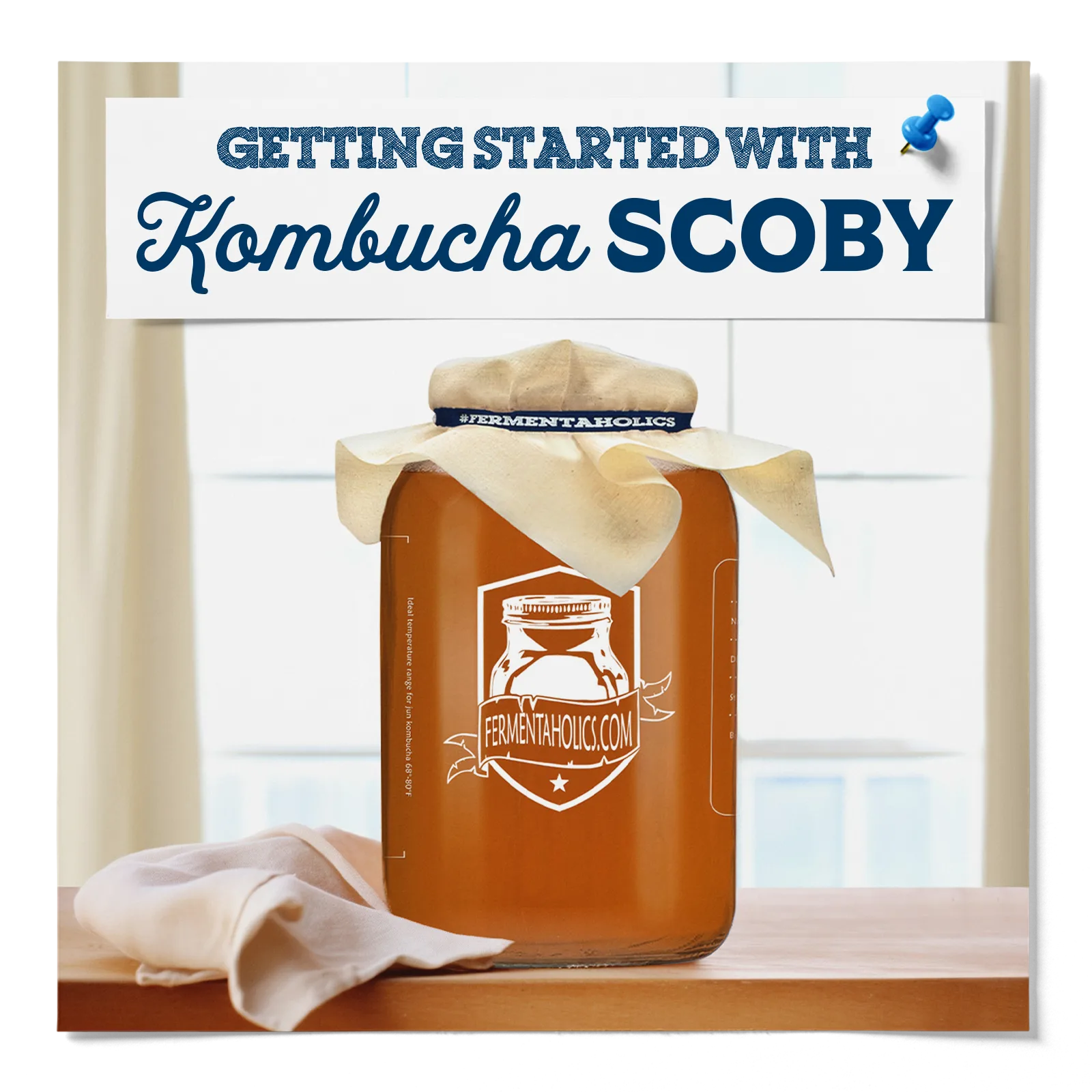 Fermentaholics Kombucha SCOBY All You Need to Know