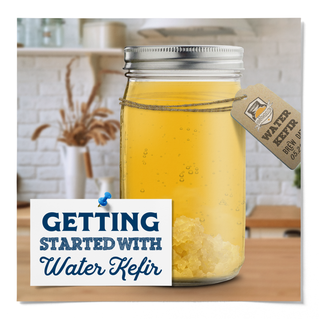Fermentaholics Water Kefir: All You Need To Know