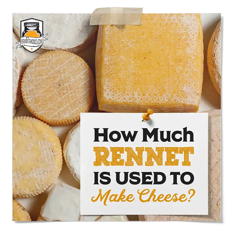 How Much Rennet Is Used To Make Cheese