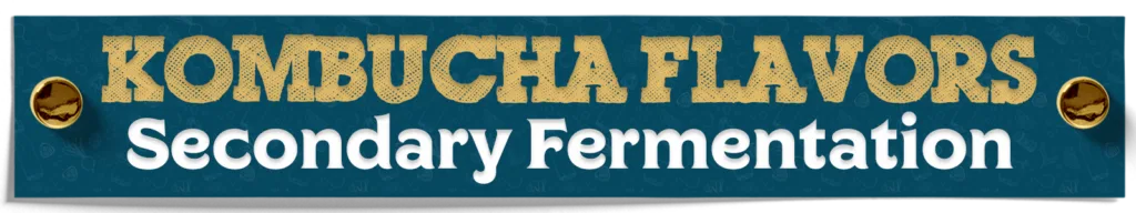 Kombucha Flavors Second Fermentation