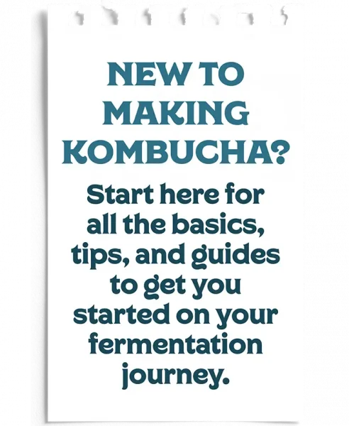 New To Making Kombucha