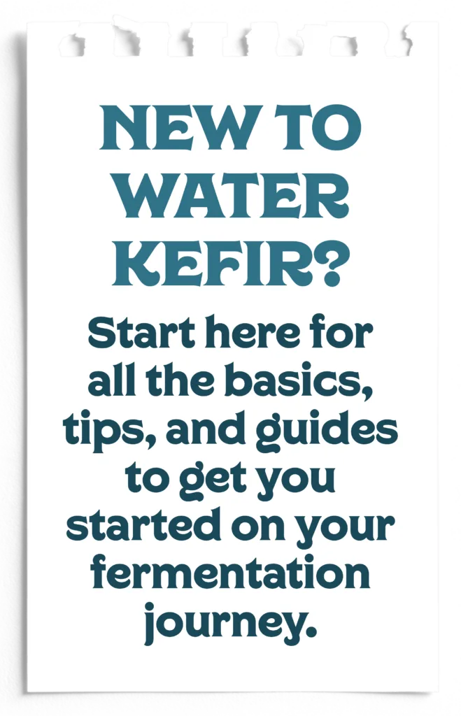 New To Waterkeefer? Start Here For All The Basics, Tips, And Guides To Get You Started On Your Fermentation Journey.