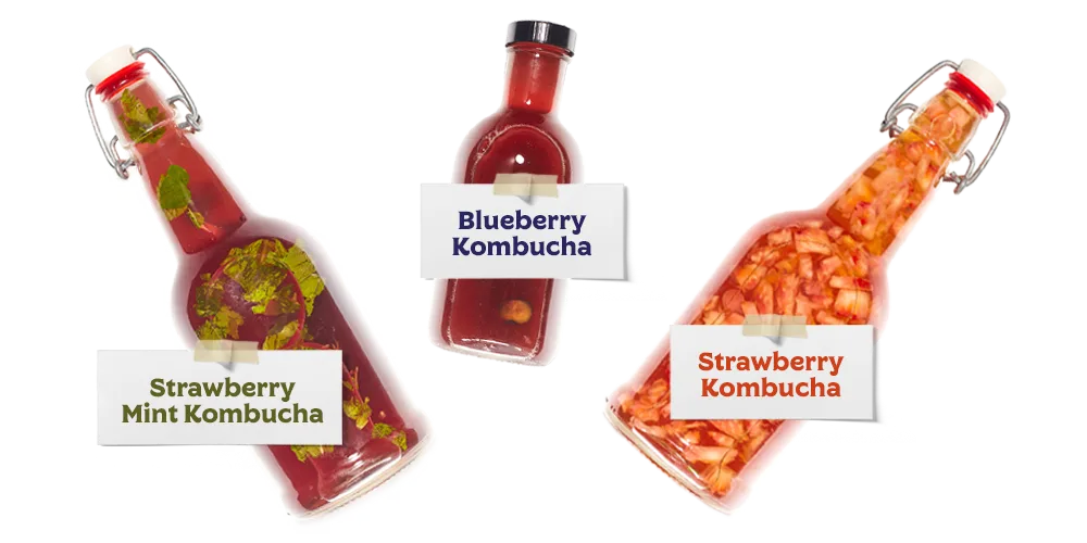 Fermentaholics: How To Make Kombucha
