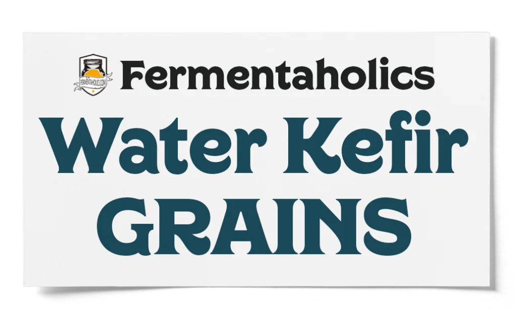 Fermentaholics Water Kefir Grains
