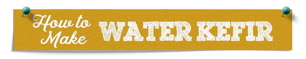 How To Make Water Kefir