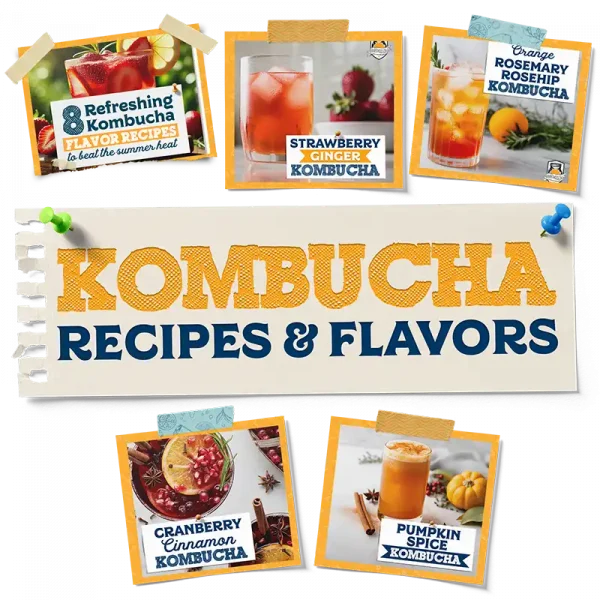 Kombucha Flavors And Recipes