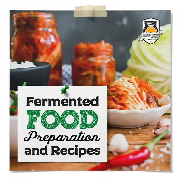 Fermented Foods Preparation And Recipes