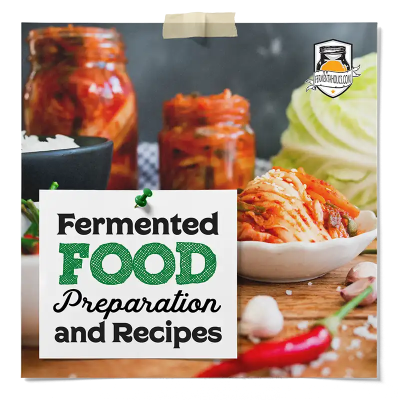 Fermented Foods Preparation and Recipes