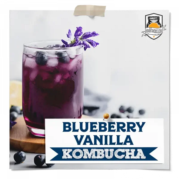 Blueberry Vanilla Kombucha
